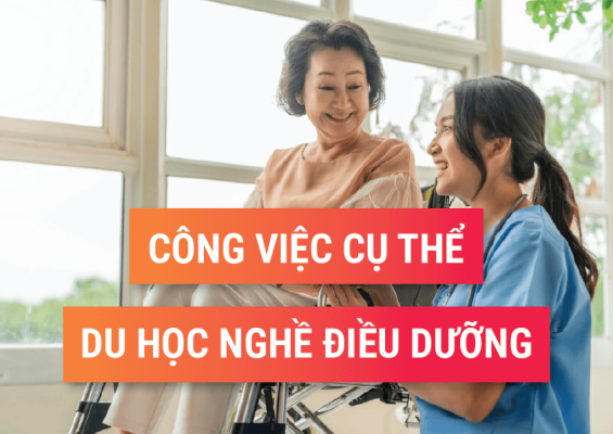 Cong_viec_cu_the_du_hoc_nghe_dieu_duong